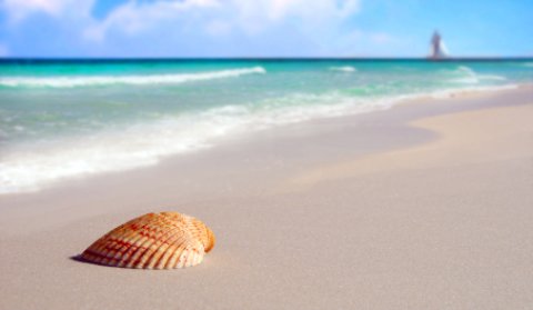 Florida Keys Dog Friendly Camping Florida Keys Dog Friendly Camping