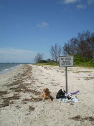 Fort De Soto Park with Mia