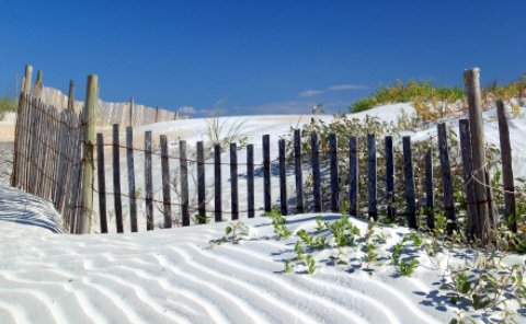 Anastasia State Park beach, Florida State Park