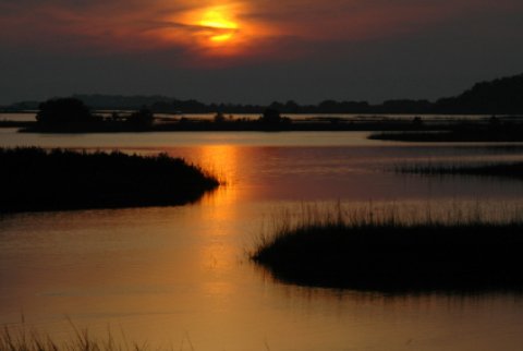 Cedar Key