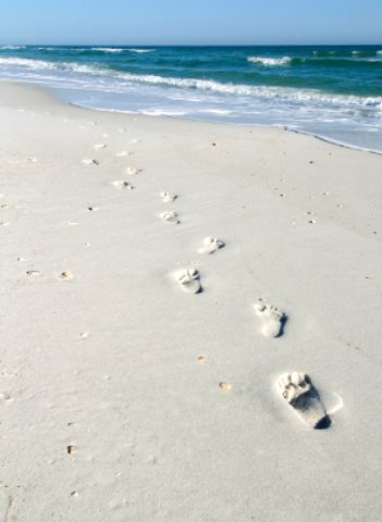 redington beach footprints in the sand