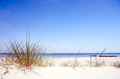 Santa Rosa Beach scene