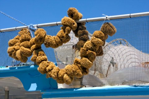 A boat load of sponges in Tarpon Springs Florida