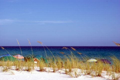 Laguna Beach Florida beach scene