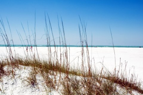 siesta key beach scene