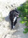 Skip enjoying a lie in the sand...