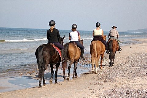 Riding horses on Amelia Island