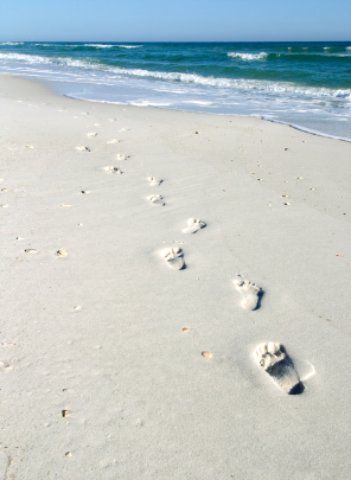 redington beach footprints in the sand redington beach footprints in the sand